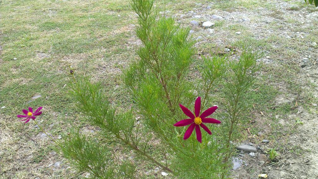 Kinabalu Poring Vacation Lodge Kampung Poring Екстериор снимка